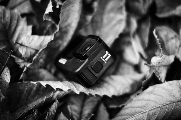Action Camera Buyer's Guide 2026: Why the £250 DJI Beats the £600 GoPro for Most Men